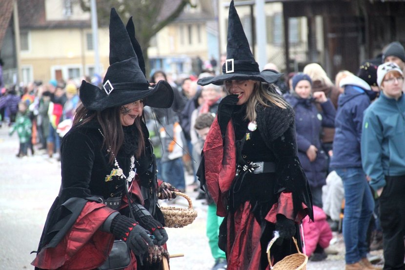 Sarmenstorf Fasnachtsumzug 16.02.2014 (185)
